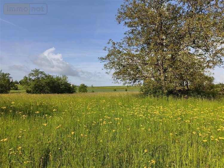 Terrain a batir a vendre Baâlons 08430 Ardennes 800 m2  23675 euros