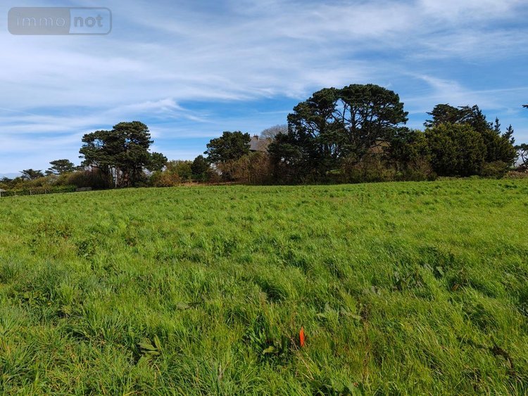 Terrain a batir a vendre Plougasnou 29630 Finistère 479 m2  72725 euros