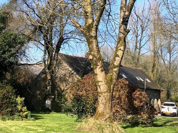 Maison a vendre Le Croisty 56540 Morbihan 141 m2 6 pièces 135000 euros