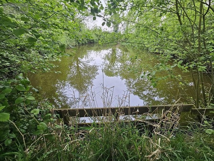 Terrains de loisirs bois etangs a vendre Oudezeele 59670 Nord 14373 m2  46000 euros