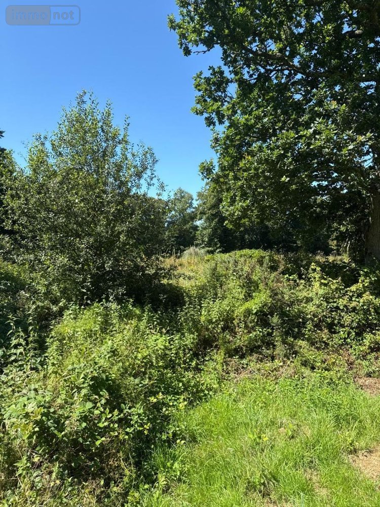 Terrains de loisirs bois etangs a vendre Martinvast 50690 Manche 7346 m2  19080 euros