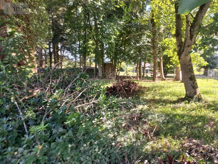 Maison a vendre Le Mené 22330 Côtes-d'Armor 48 m2 3 pièces 80250 euros