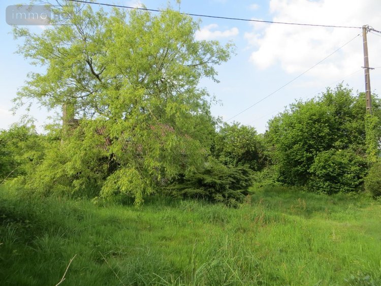 Maison a vendre Le Gast 14380 Calvados 76 m2 4 pièces 56700 euros