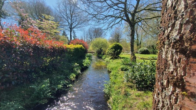 Maison a vendre Langonnet 56630 Morbihan 113 m2 5 pièces 179100 euros