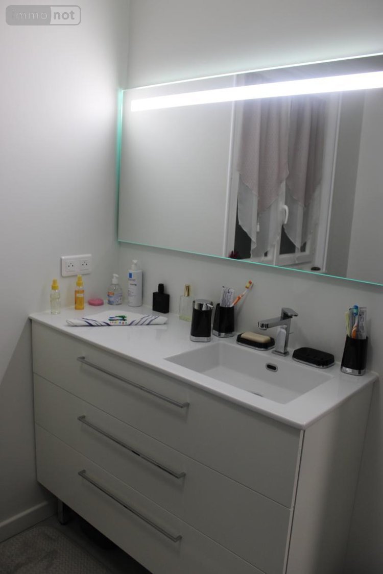 Viager maison Cusset 03300 Allier 135 m2 6 pièces 100440 euros