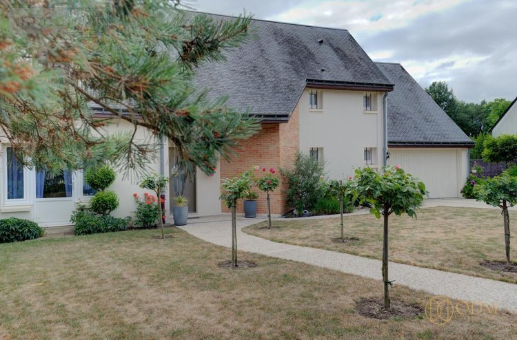 Maison a vendre Luynes 37230 Indre-et-Loire 185 m2 6 pièces 479000 euros