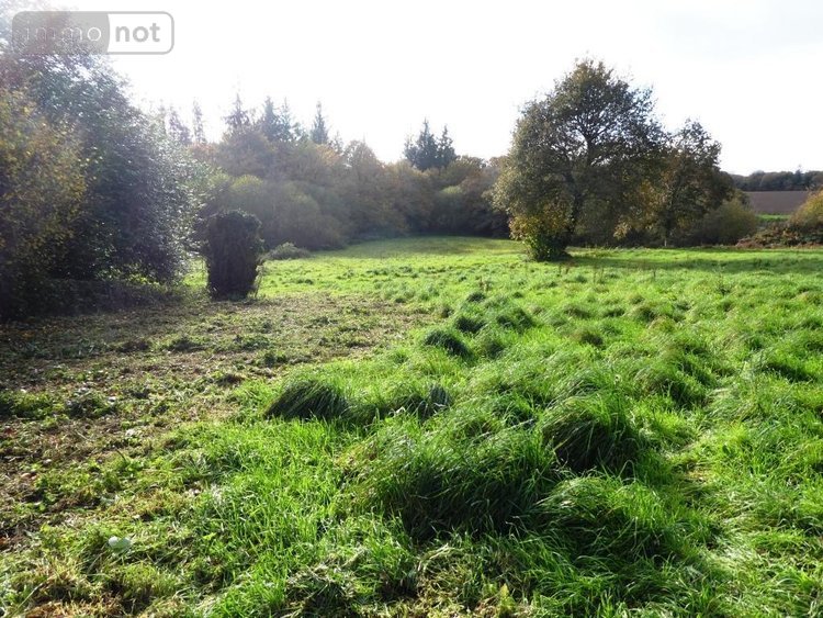 Maison a vendre Langoëlan 56160 Morbihan 160 m2 9 pièces 272950 euros