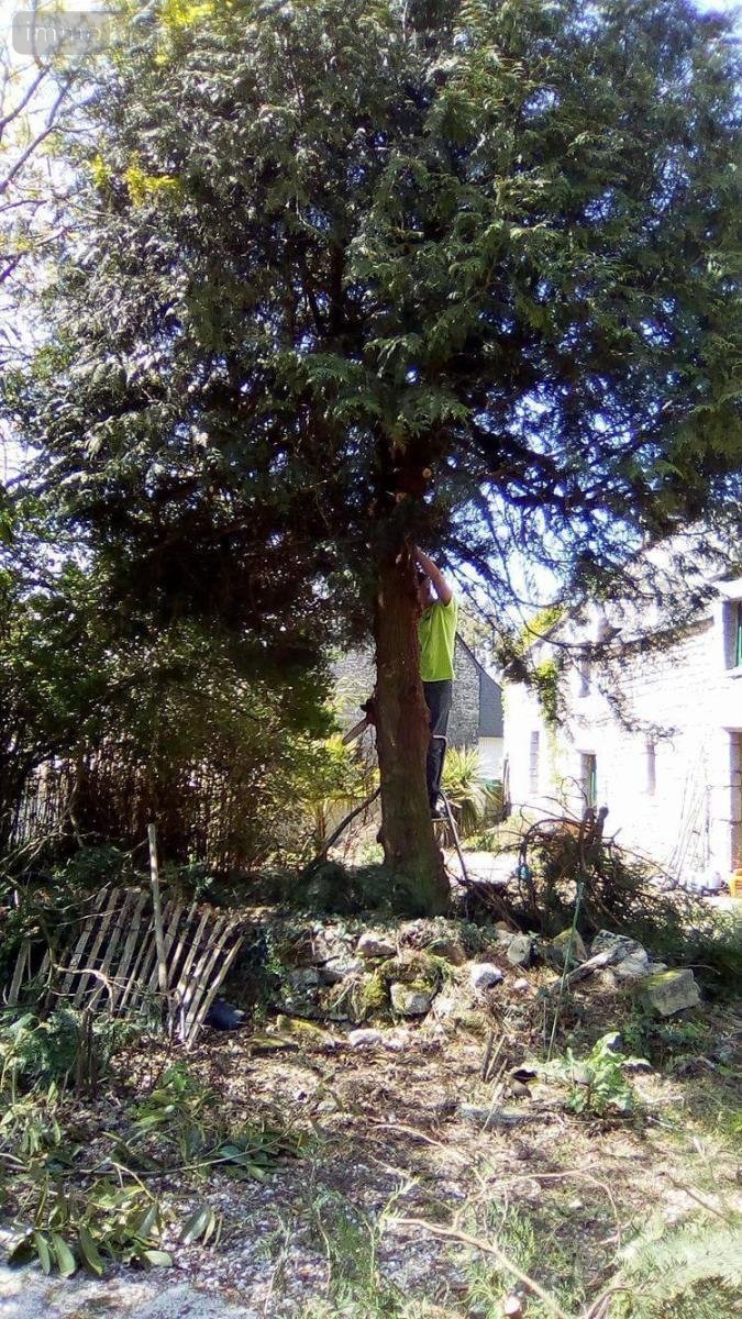 Maison a vendre Plumelec 56420 Morbihan 156 m2 5 pièces 308275 euros
