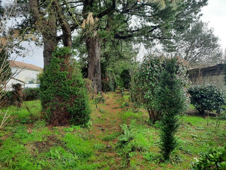 Maison a vendre Le Fenouiller 85800 Vendée 109 m2 5 pièces 304200 euros