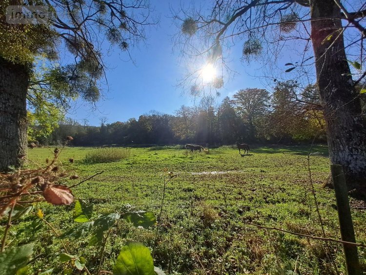 Maison a vendre Rebergues 62850 Pas-de-Calais 394 m2 12 pièces 581660 euros