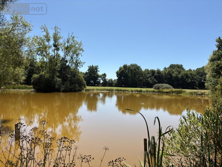 Terrains de loisirs bois etangs a vendre La Bazouge-des-Alleux 53470 Mayenne 45728 m2  120500 euros
