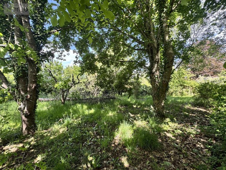 Maison a vendre Bretoncelles 61110 Orne 170 m2  149100 euros