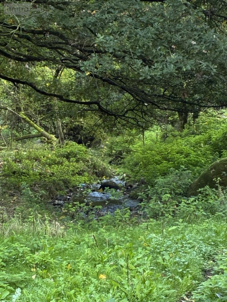 Maison a vendre Salmiech 12120 Aveyron 95 m2 6 pièces 84500 euros