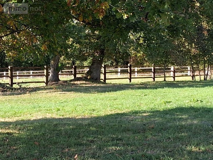 Maison a vendre Rives-d'Andaine 61140 Orne 570 m2 11 pièces 4300000 euros