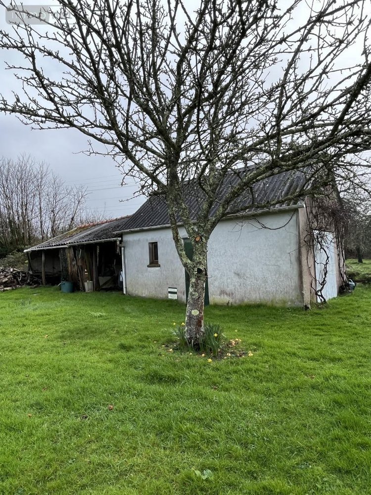 Maison a vendre Pleuven 29170 Finistère 100 m2 5 pièces 276925 euros
