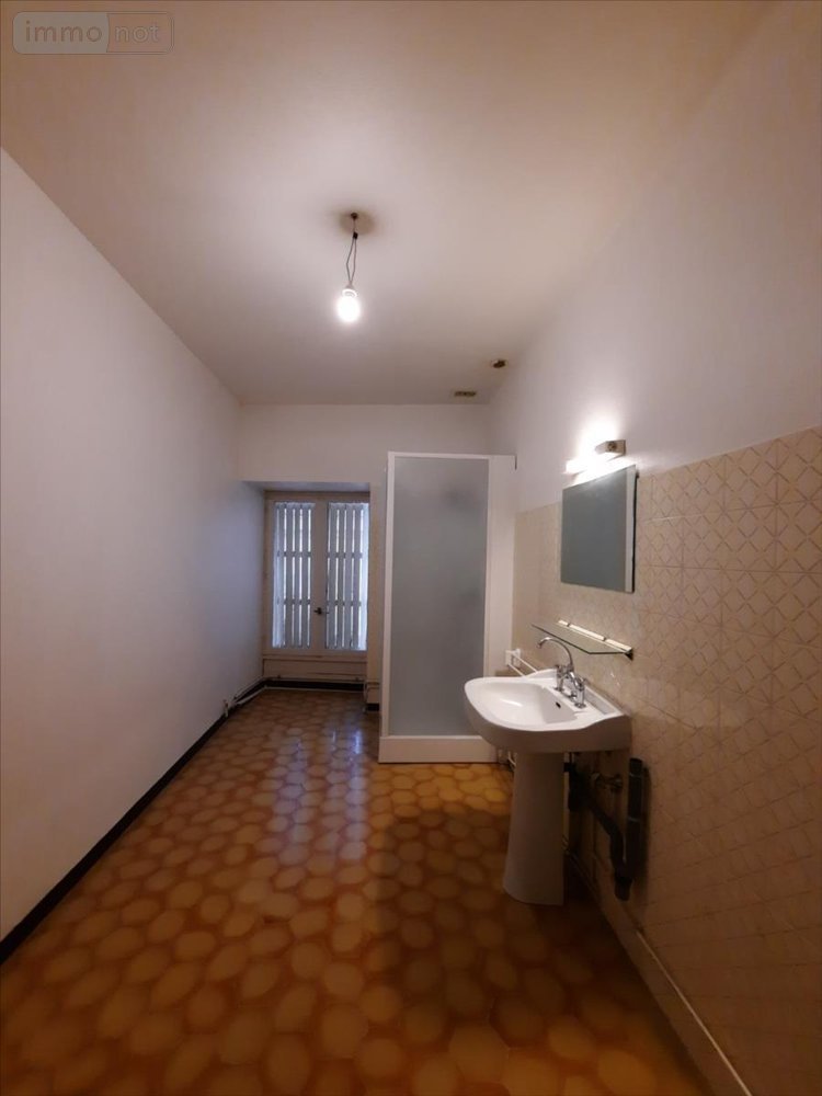 Immeuble a vendre Issoudun 36100 Indre 250 m2  202350 euros