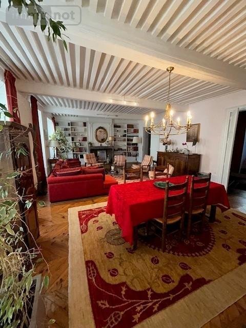 Viager maison Riom 63200 Puy-de-Dôme 320 m2 14 pièces 477750 euros