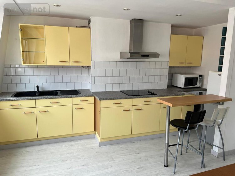 Location appartement Lille 59000 Nord 56 m2  800 euros