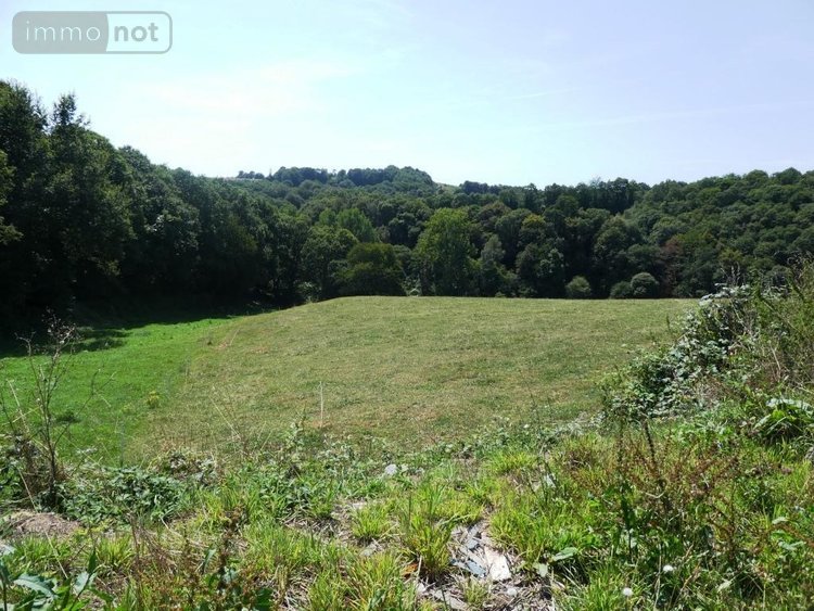 Divers a vendre Le Saint 56110 Morbihan 1 m2  335600 euros