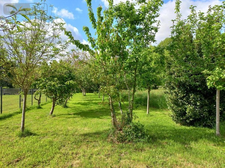 Maison a vendre Landéhen 22400 Côtes-d'Armor 190 m2 8 pièces 231000 euros