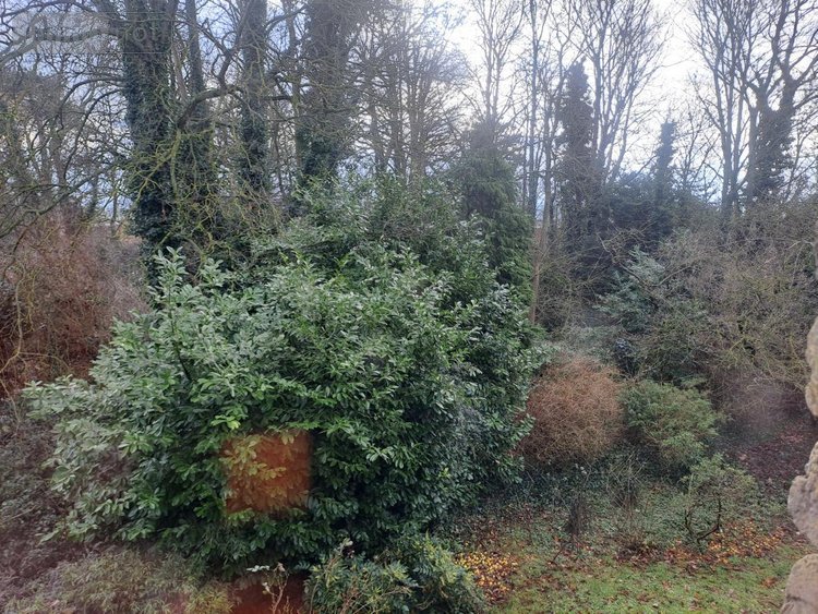 Maison a vendre Ardres 62610 Pas-de-Calais 193 m2 7 pièces 348560 euros