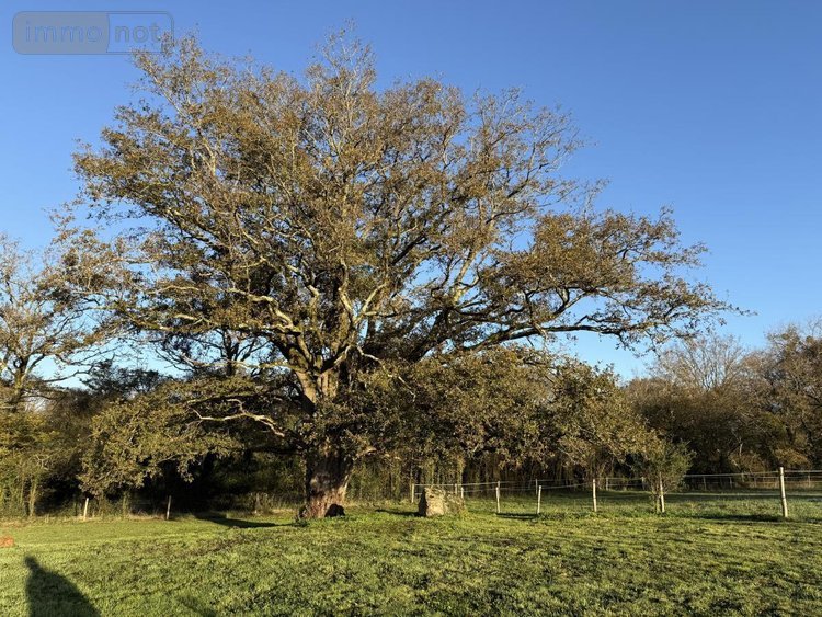 Maison a vendre Surzur 56450 Morbihan 185 m2 6 pièces 795200 euros