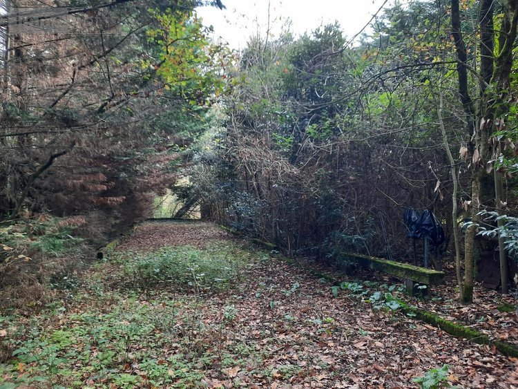 Terrains de loisirs bois etangs a vendre Aizenay 85190 Vendée 12772 m2  54000 euros