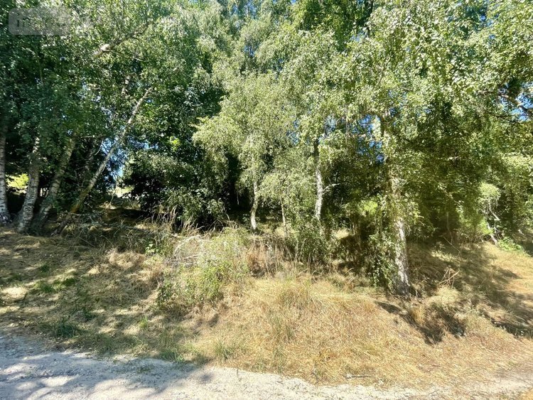 Terrain a batir a vendre Saint-Chély-d'Apcher 48200 Lozère 5194 m2  48000 euros