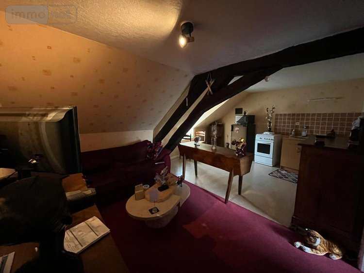 Immeuble a vendre Montargis 45200 Loiret 180 m2  293200 euros