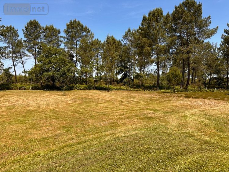 Maison a vendre Pissos 40410 Landes 93 m2 4 pièces 285000 euros