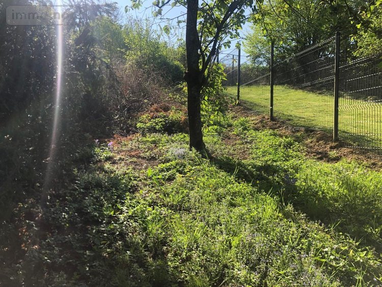 Maison a vendre Beauval 80630 Somme 71 m2 3 pièces 69800 euros