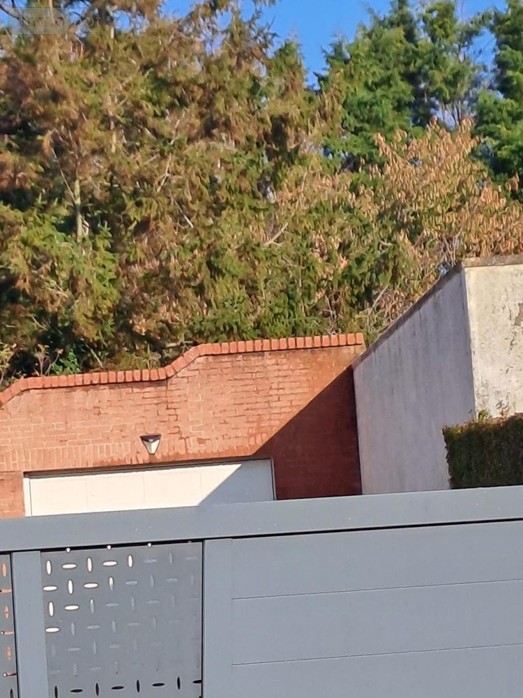 Maison a vendre Louches 62610 Pas-de-Calais 76 m2 4 pièces 172440 euros