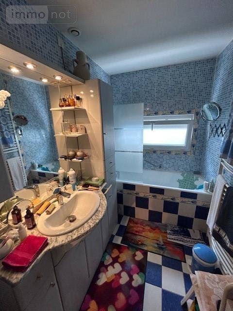 Viager maison Vichy 03200 Allier 105 m2 8 pièces 50000 euros