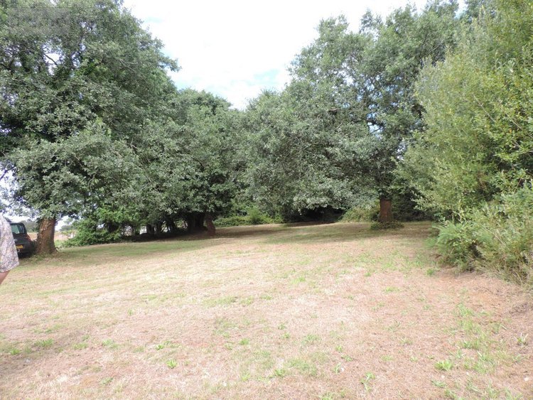 Maison a vendre La Chapelle-Neuve 22160 Côtes-d'Armor 115 m2 6 pièces 125700 euros