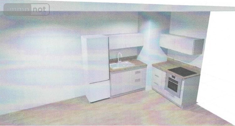 Location appartement Nantes 44000 Loire-Atlantique 40 m2 2 pièces 685 euros