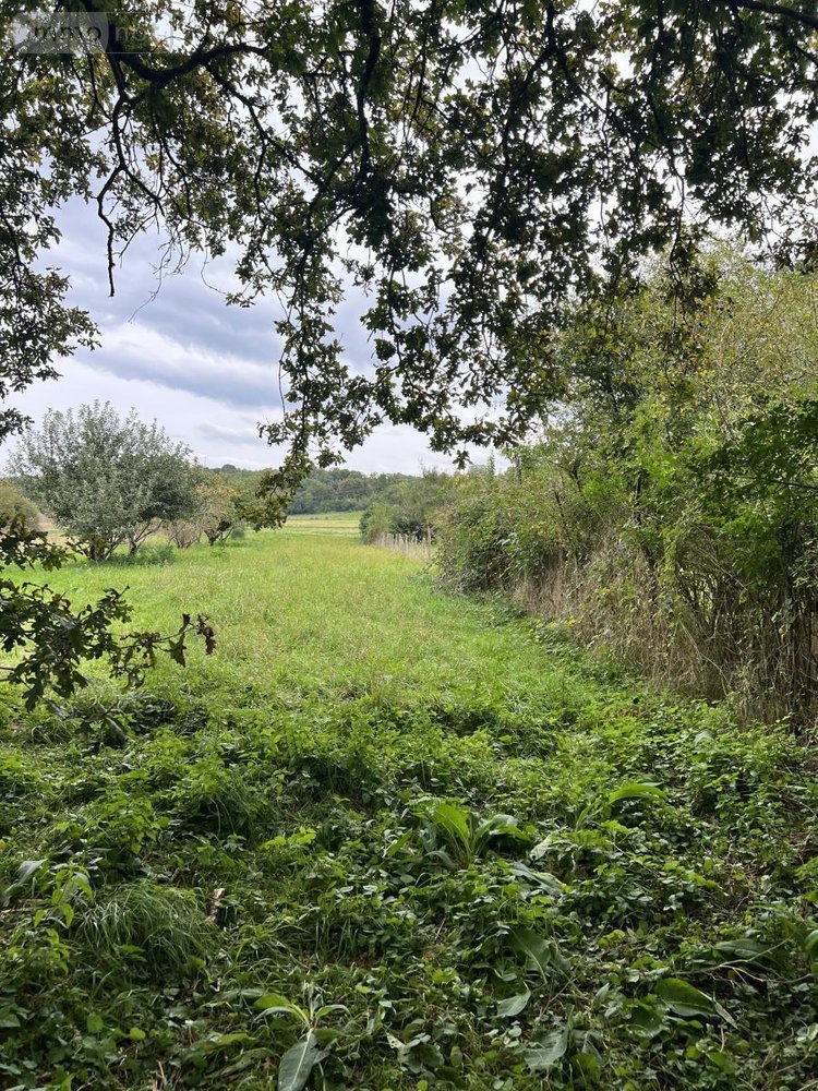 Terrains de loisirs bois etangs a vendre Lunay 41360 Loir-et-Cher 2855 m2  11800 euros