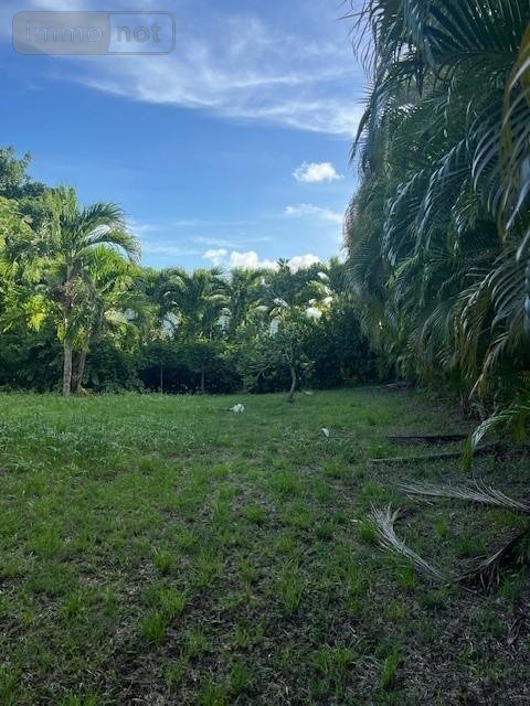 Maison a vendre Sainte-Luce 97228 Martinique 108 m2 5 pièces 441000 euros