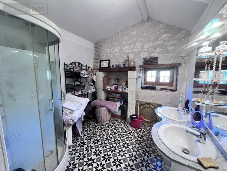 Maison a vendre Châtillon-sur-Cher 41130 Loir-et-Cher 385 m2 14 pièces 420000 euros