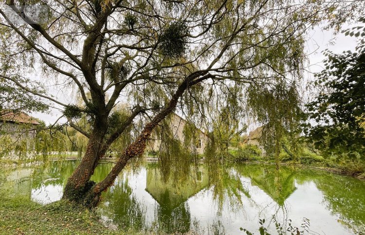 Maison a vendre Nouans 72260 Sarthe 271 m2 9 pièces 299900 euros