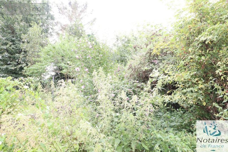 Maison a vendre Cauroir 59400 Nord 101 m2 4 pièces 55500 euros