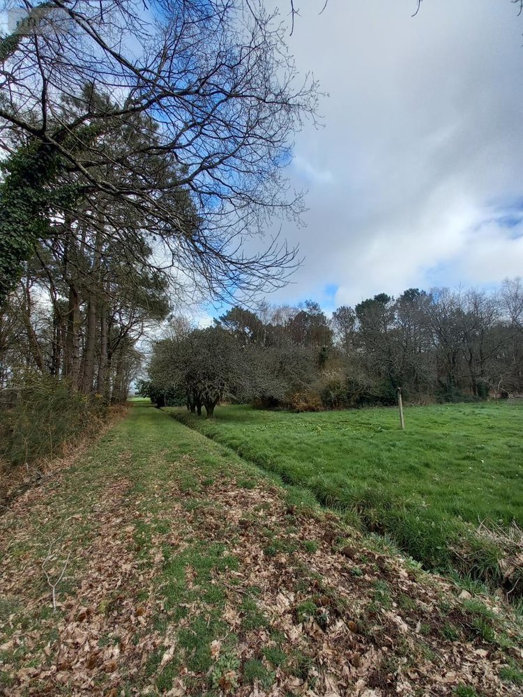 Maison a vendre Camors 56330 Morbihan 117 m2 6 pièces 239720 euros