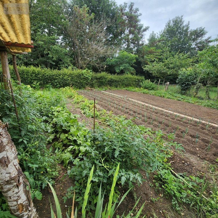 Maison a vendre Avezé 72400 Sarthe 146 m2 6 pièces 520000 euros