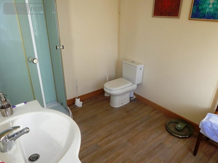 Maison a vendre Langoëlan 56160 Morbihan 280 m2 10 pièces 367000 euros