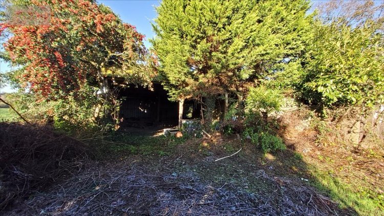 Maison a vendre Poullaouen 29246 Finistère 87 m2 4 pièces 78750 euros