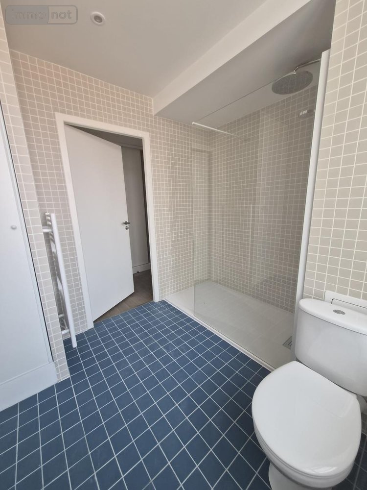Location appartement Lille 59000 Nord 53 m2 2 pièces 910 euros