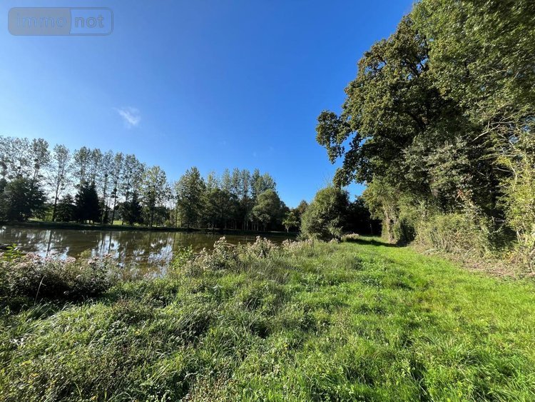 Terrains de loisirs bois etangs a vendre Saint-Christophe-du-Luat 53150 Mayenne 17420 m2  84320 euros