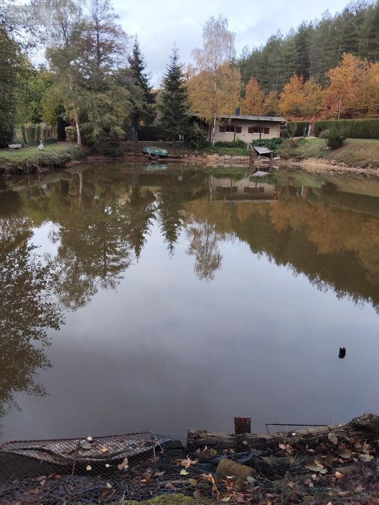 Maison a vendre Pezé-le-Robert 72140 Sarthe 49 m2 2 pièces 58300 euros