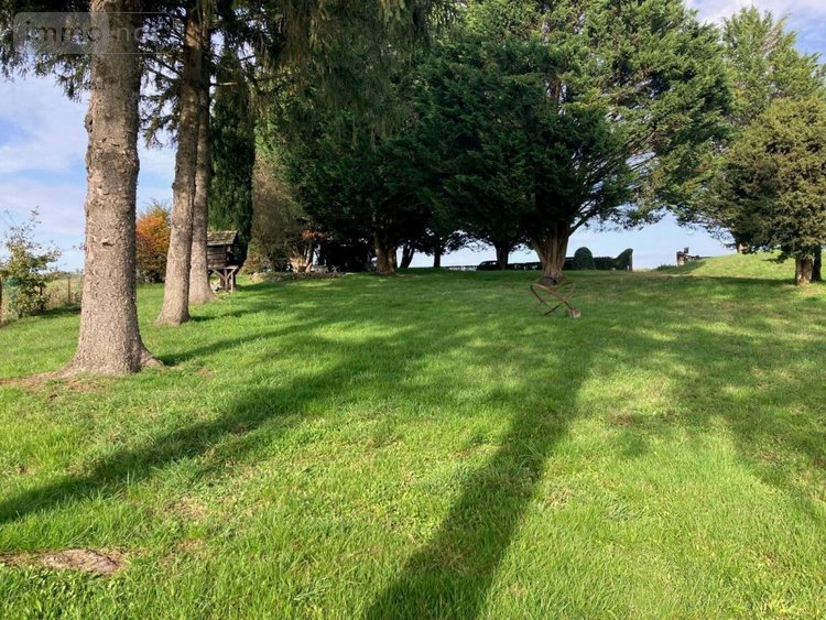 Maison a vendre Rignieux-le-Franc 01800 Ain 292 m2 6 pièces 325000 euros