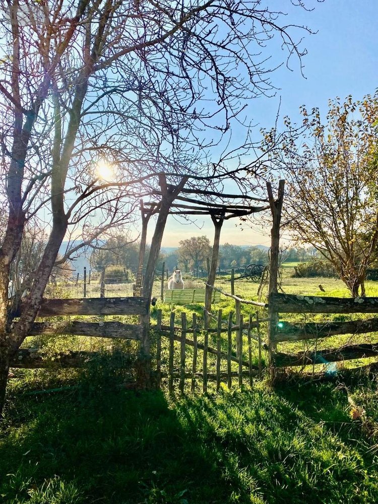 Maison a vendre Centrès 12120 Aveyron 430 m2 19 pièces 420000 euros