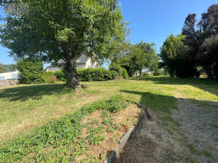 Location maison Guipry-Messac 35480 Ille-et-Vilaine 84 m2 3 pièces 715 euros